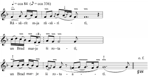 14. PETREKĂTURA pr. 14